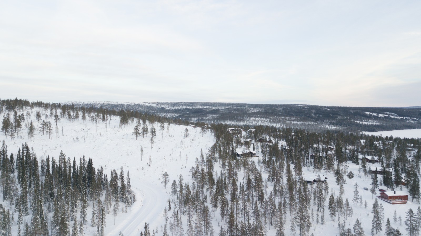 Fjell-Mora